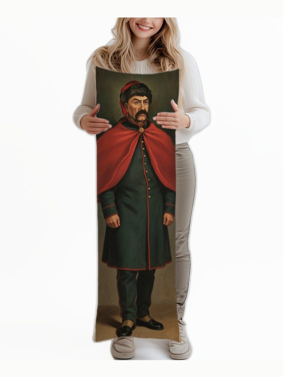 Дакімакура Максим Залізняк